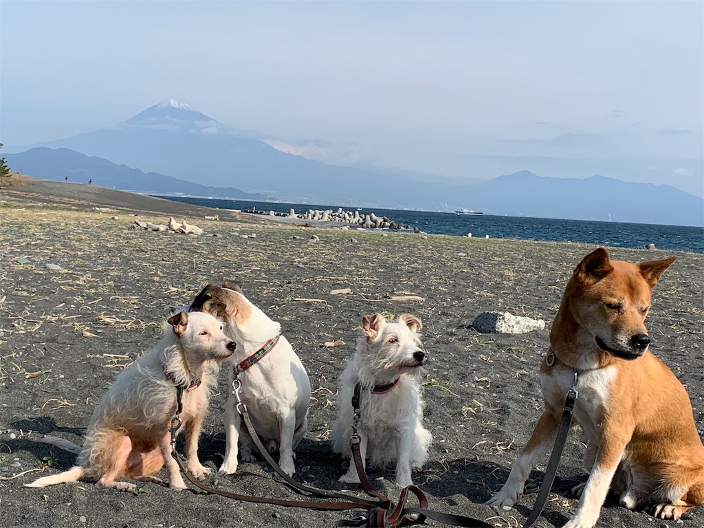 f:id:suika980:20181121191710j:image