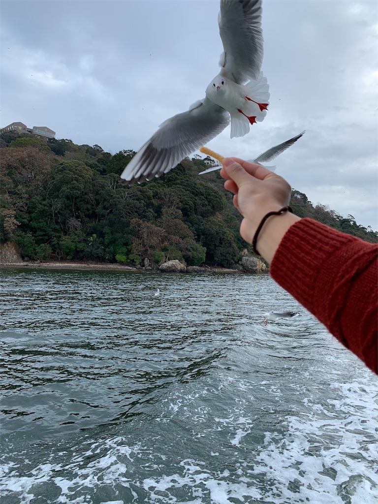 f:id:suika980:20181121194536j:image