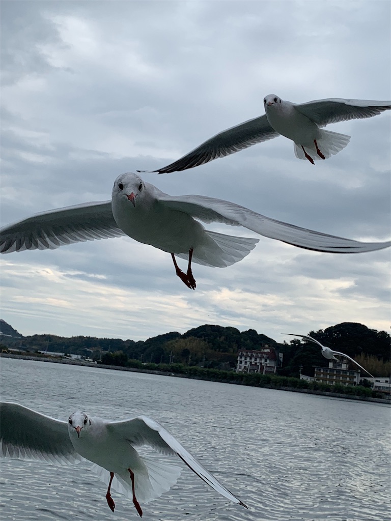 f:id:suika980:20181121194544j:image