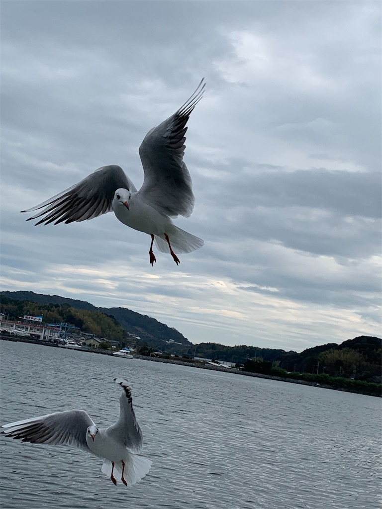 f:id:suika980:20181121194720j:image