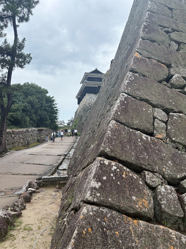 f:id:suika_mango:20250924000914j:image