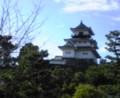 掛川城。お仲間がたくさんいました