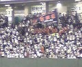 外野席超楽しそう･･･。頑張れファイターズ！！