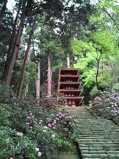 つばさ