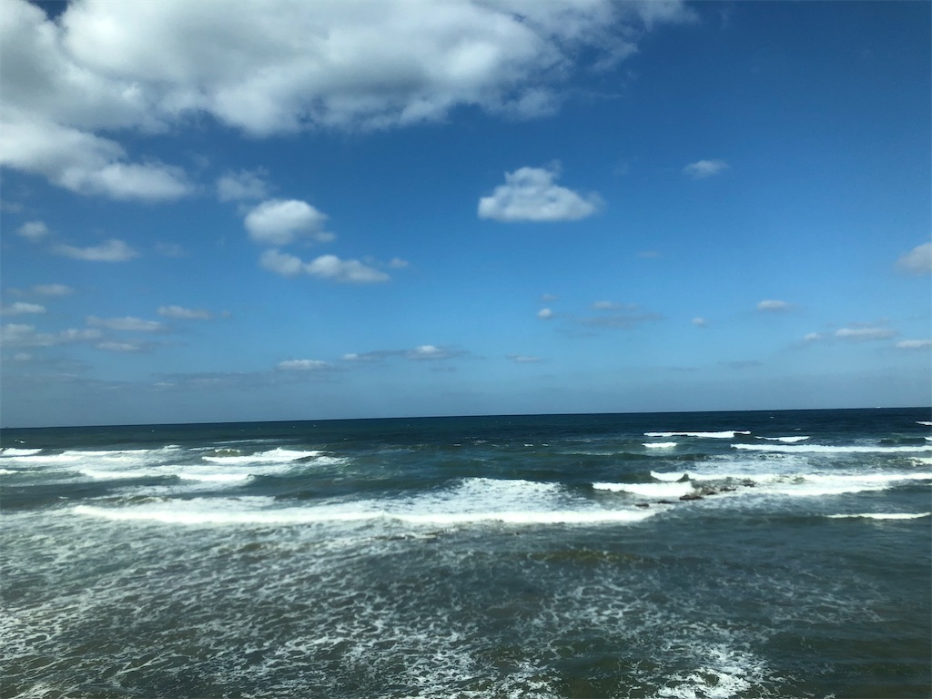 f:id:suikaandkamome:20200302144140j:image