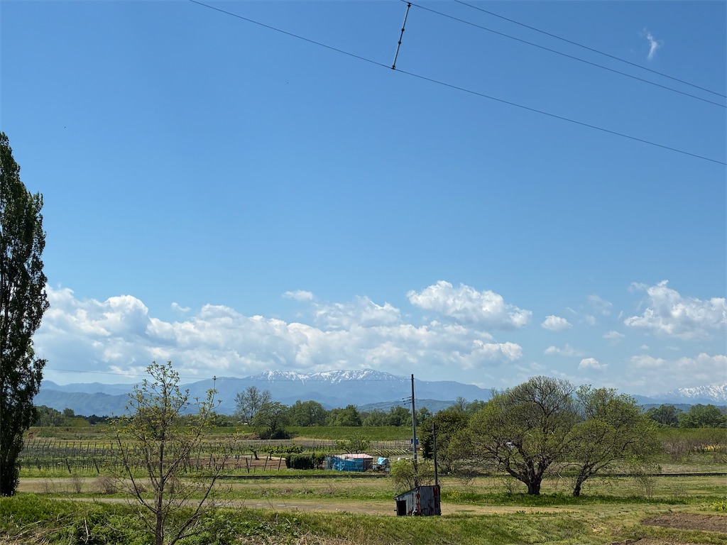 f:id:suikaandkamome:20260507215314j:image