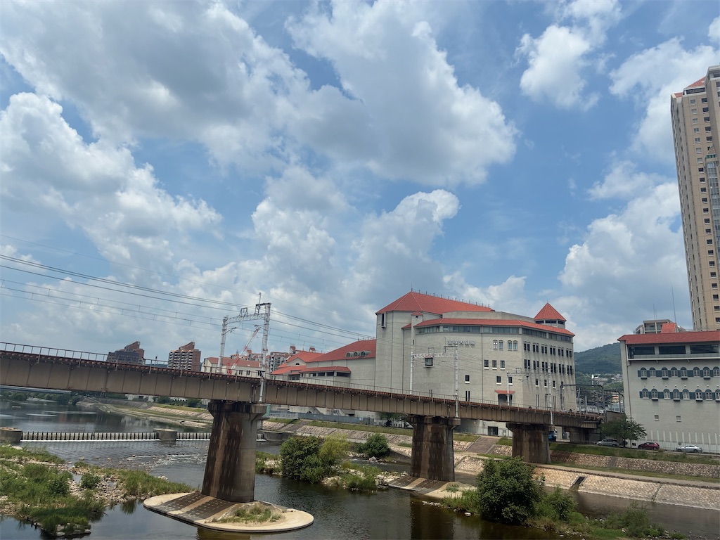 f:id:suikaandkamome:20260720210909j:image f:id:suikaandkamome:20260720210909j:image