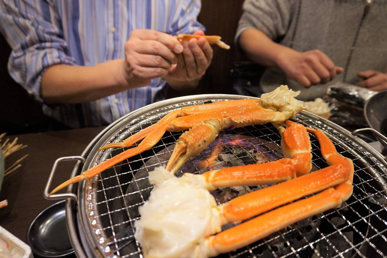 f:id:suikafumi:20200116141259j:plain