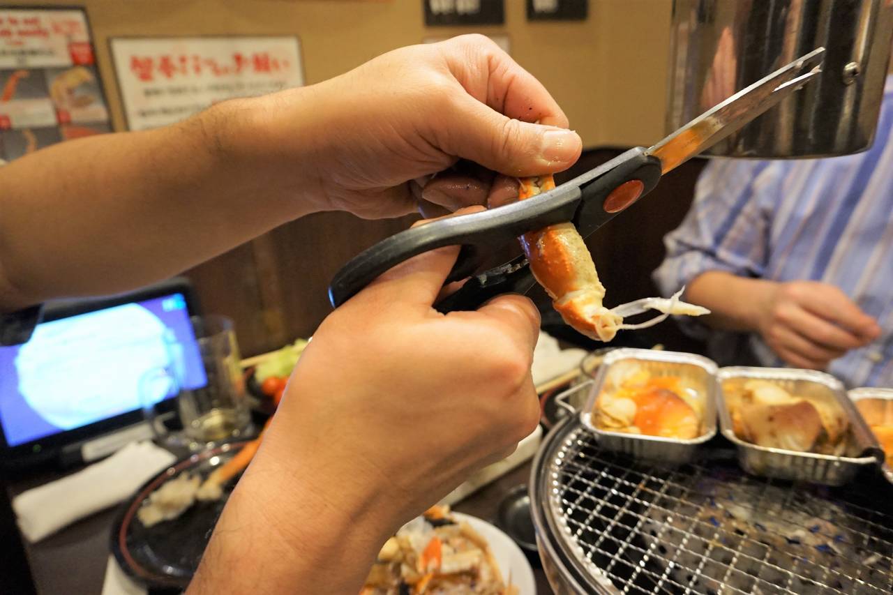 f:id:suikafumi:20200116142043j:plain