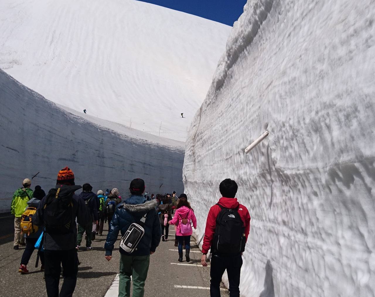 f:id:suikafumi:20200119193508j:plain