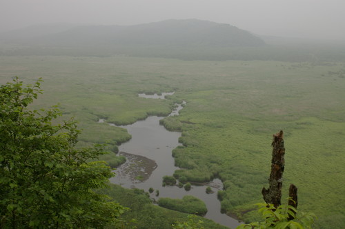 f:id:suikan:20050718133712j:image f:id:suikan:20050718133712j:image