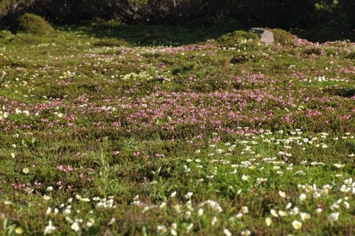 f:id:suikan:20050722062033j:image