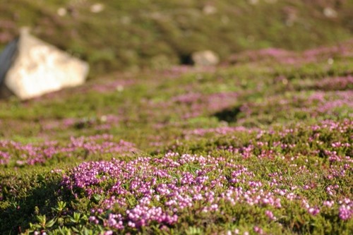 f:id:suikan:20050722064828j:image