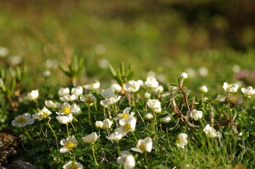 f:id:suikan:20050722065804j:image