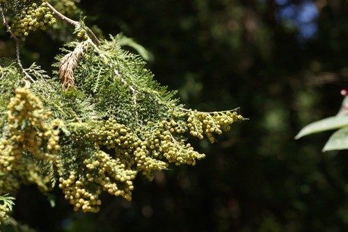 f:id:suikan:20050918104316j:image