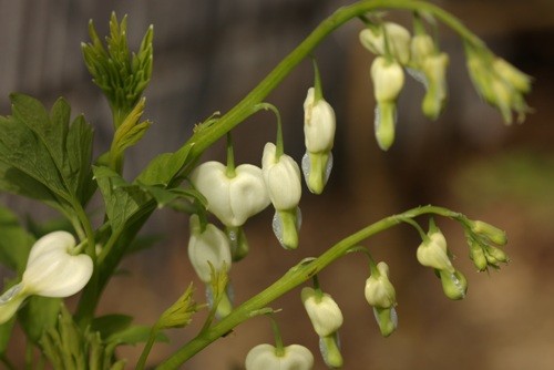 f:id:suikan:20060401144332j:image