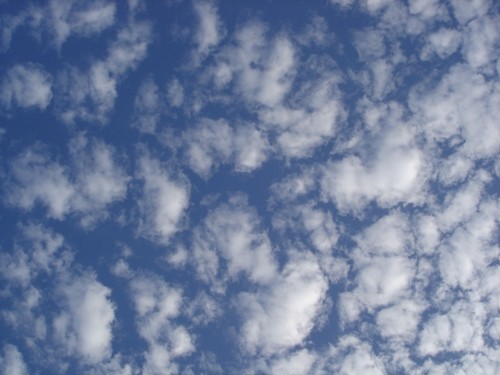 羊雲