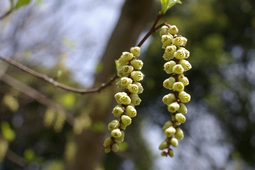 f:id:suikan:20070401105344j:image f:id:suikan:20070401105344j:image