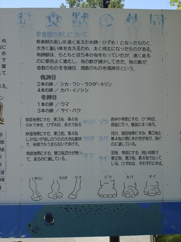 f:id:suikan:20070719114010j:image f:id:suikan:20070719114010j:image