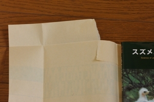 f:id:suikan:20071006100926j:image