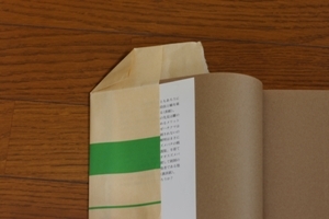 f:id:suikan:20071006101027j:image