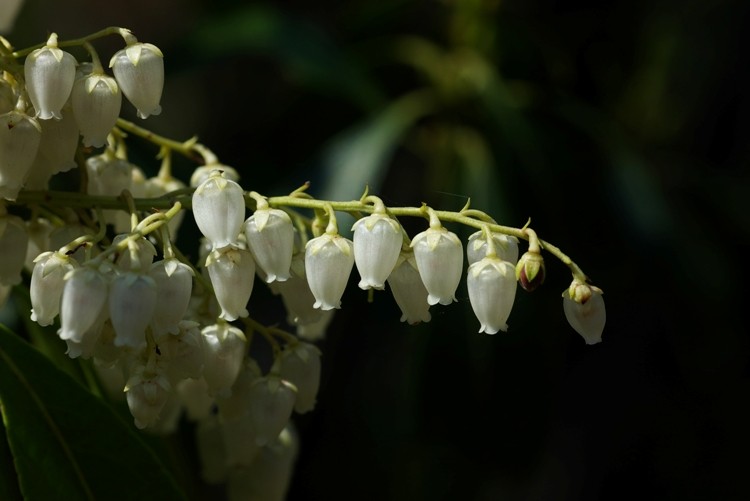 f:id:suikan:20080406095513j:image