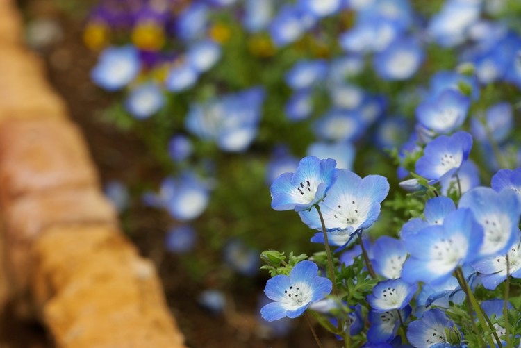 f:id:suikan:20080420112422j:image