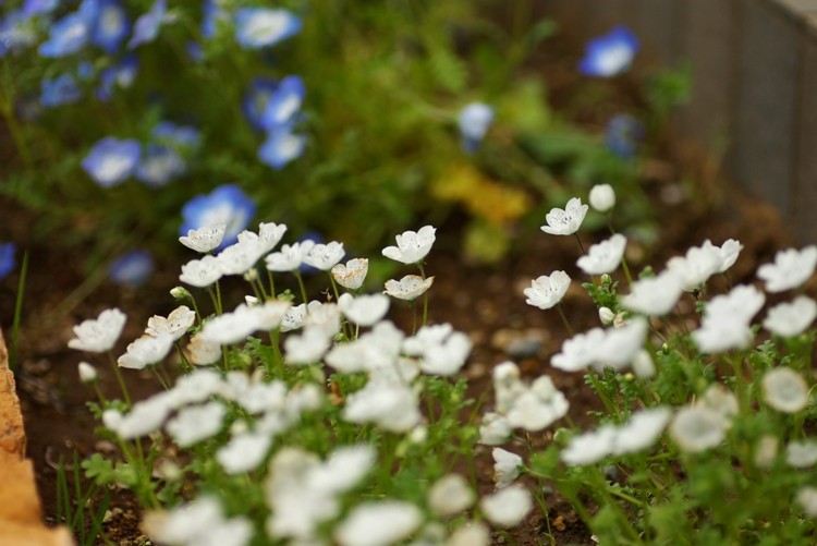 f:id:suikan:20080420112903j:image