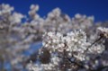 20120407080009
