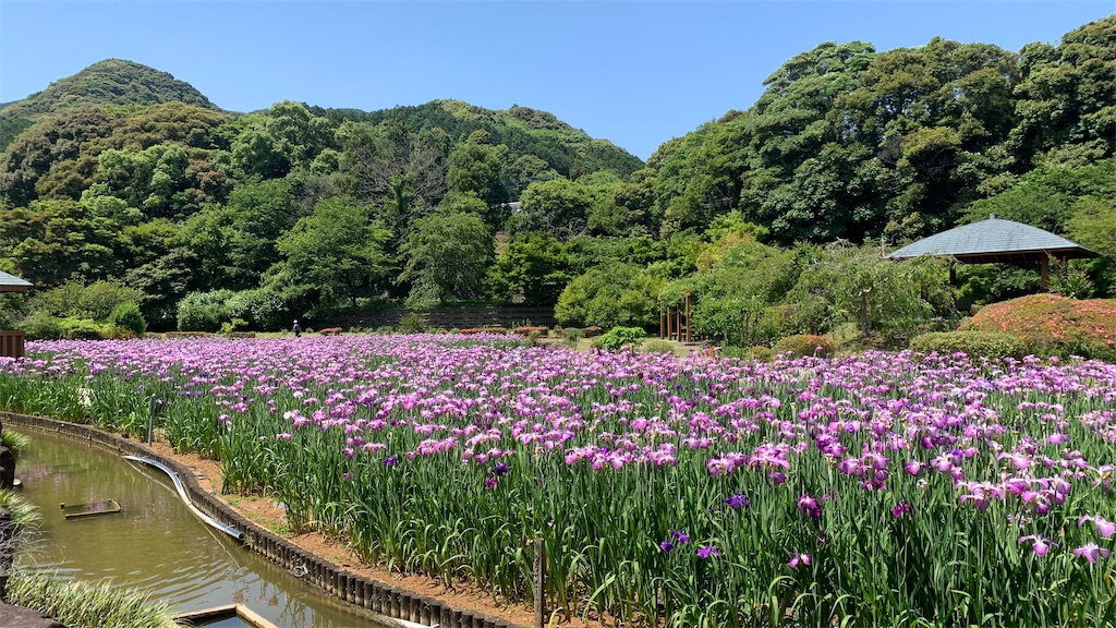 f:id:suima14:20220704152103j:image