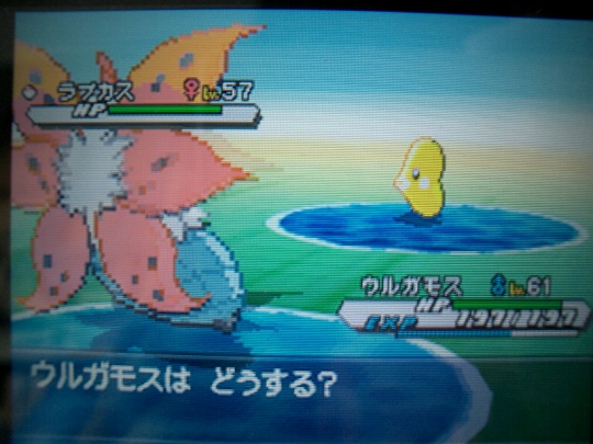 色違いのラブカス みどりのながれ