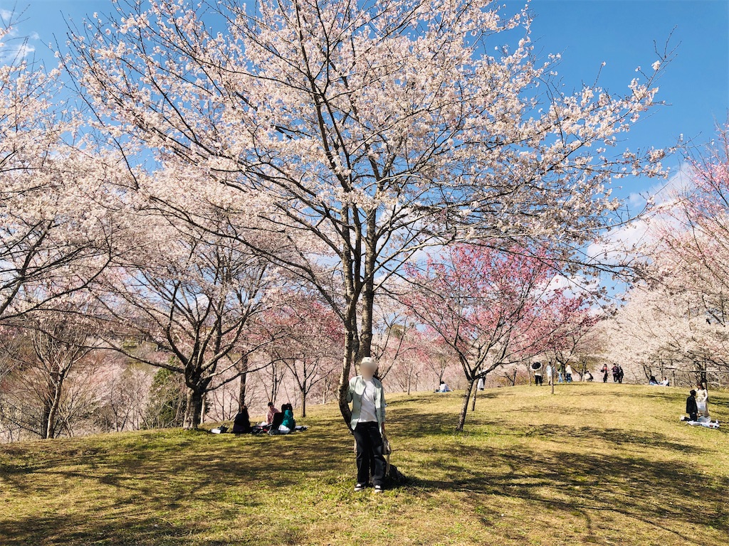 f:id:suimie-suimie:20250406214657j:image