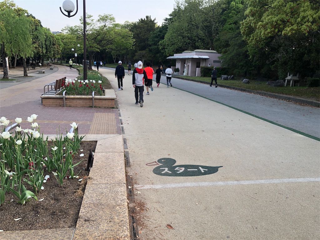 f:id:suimie-suimie:20250419203919j:image f:id:suimie-suimie:20250419203919j:image