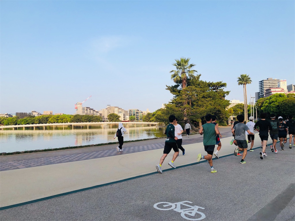 f:id:suimie-suimie:20250419203928j:image f:id:suimie-suimie:20250419203928j:image