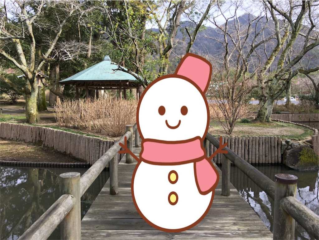 f:id:suiren_nikki:20170214203317j:image f:id:suiren_nikki:20170214203317j:image