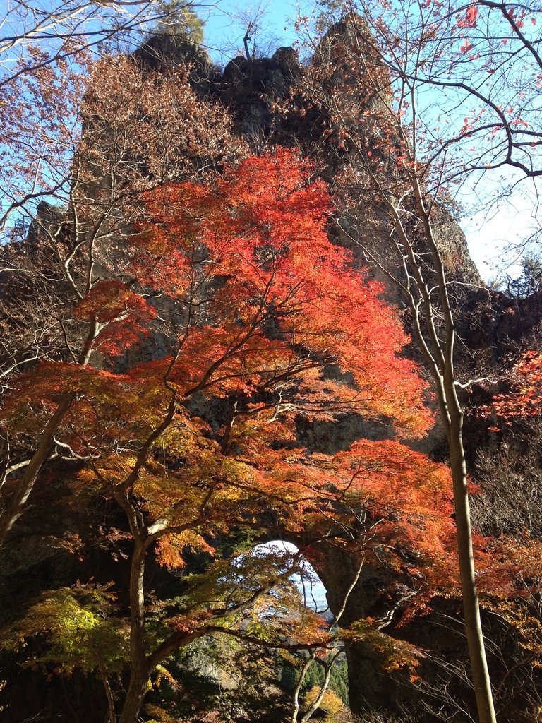 f:id:suishian:20181124235445j:plain f:id:suishian:20181124235445j:plain