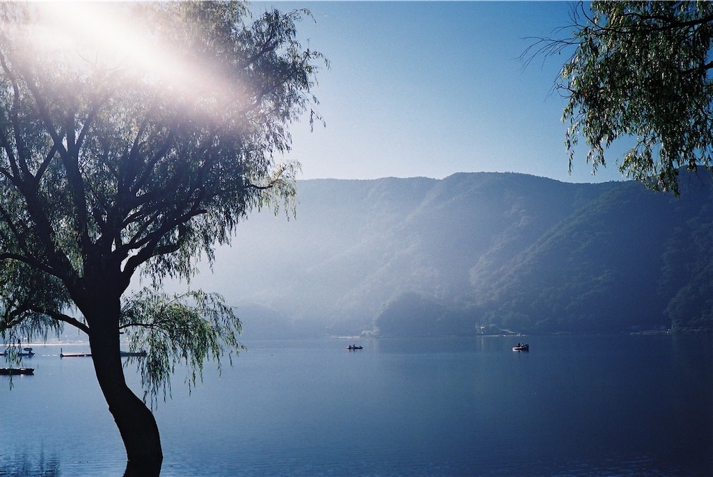f:id:suisosuiso:20200914153607j:image f:id:suisosuiso:20200914153607j:image