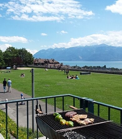 大きなバーベキューのコンロで肉や野菜が焼けている。背景に芝生の公園があり遠景には湖と山並が見える。