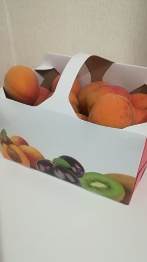 紙箱にはいった1キロのアプリコット。