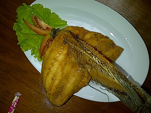 f:id:suisuifiji:20121019120559j:image