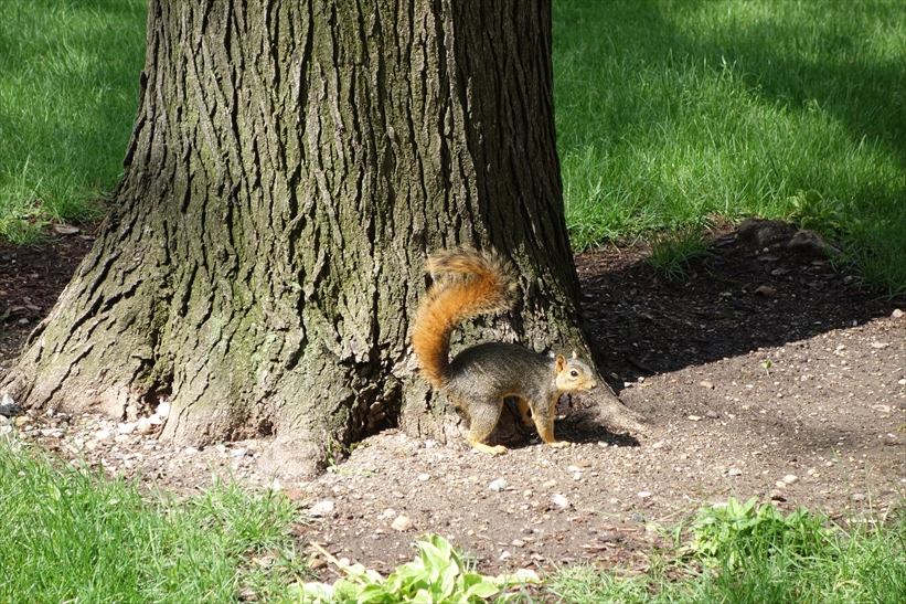 f:id:suits:20130523224332j:plain