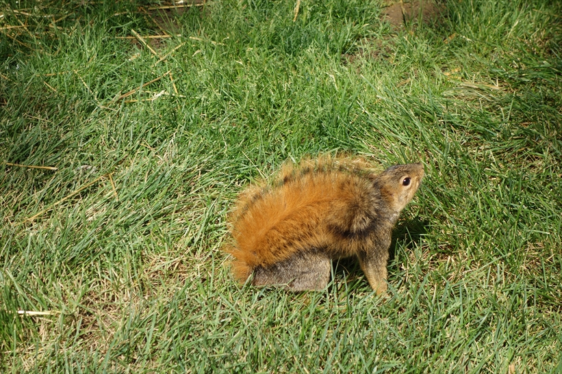 f:id:suits:20130523224333j:plain