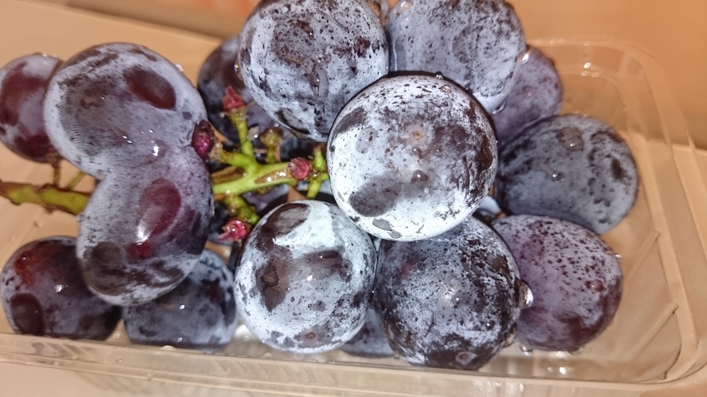 f:id:suizougan:20181227174419j:plain f:id:suizougan:20181227174419j:plain
