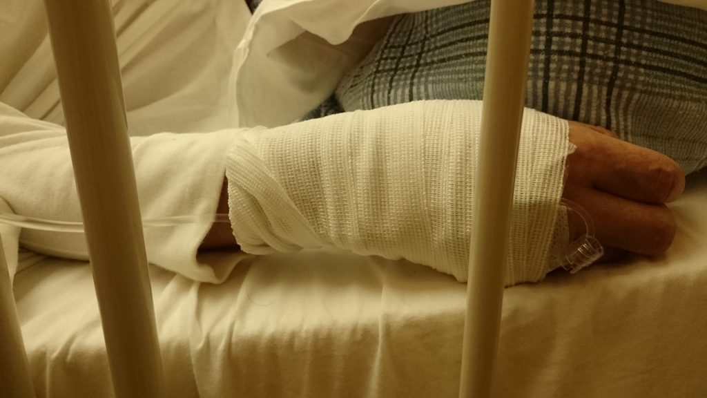 f:id:suizougan:20190121213620j:plain f:id:suizougan:20190121213620j:plain