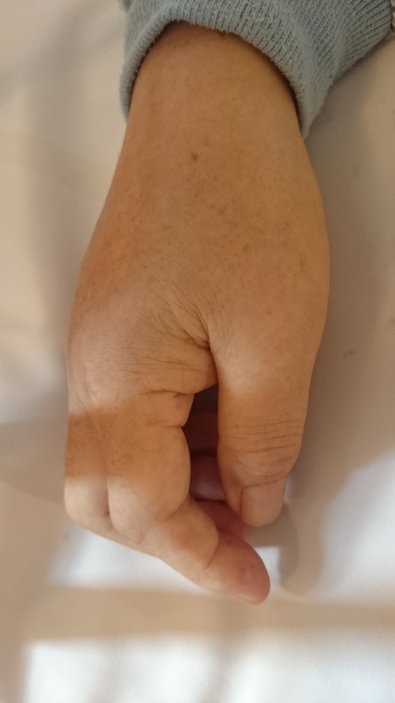 f:id:suizougan:20190204002109j:plain f:id:suizougan:20190204002109j:plain
