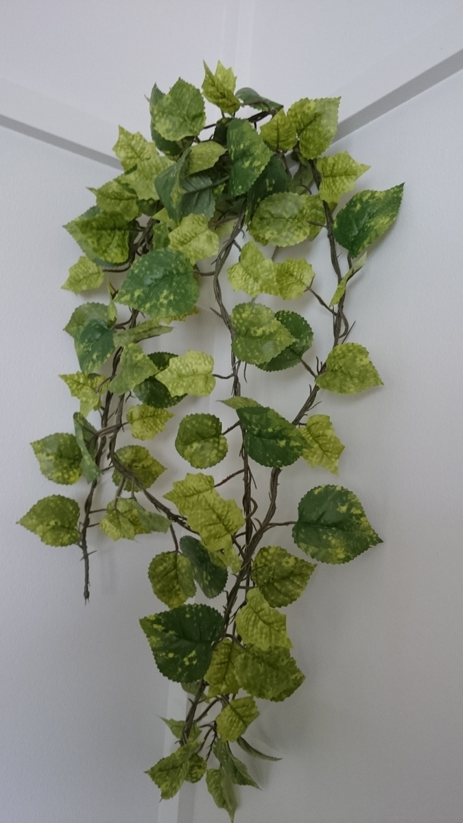 f:id:suizougan:20190415114402j:plain f:id:suizougan:20190415114402j:plain