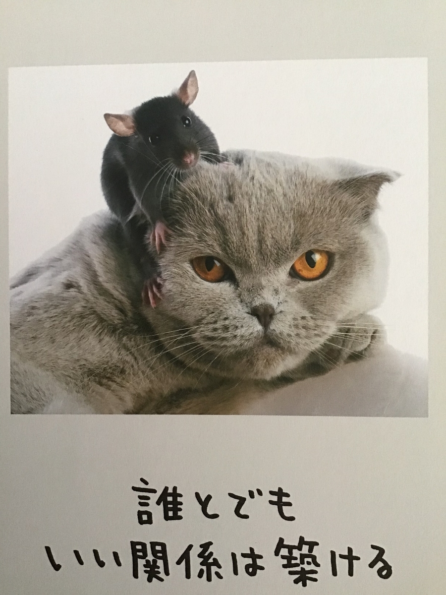 f:id:suizougan:20190529085659j:plain f:id:suizougan:20190529085659j:plain
