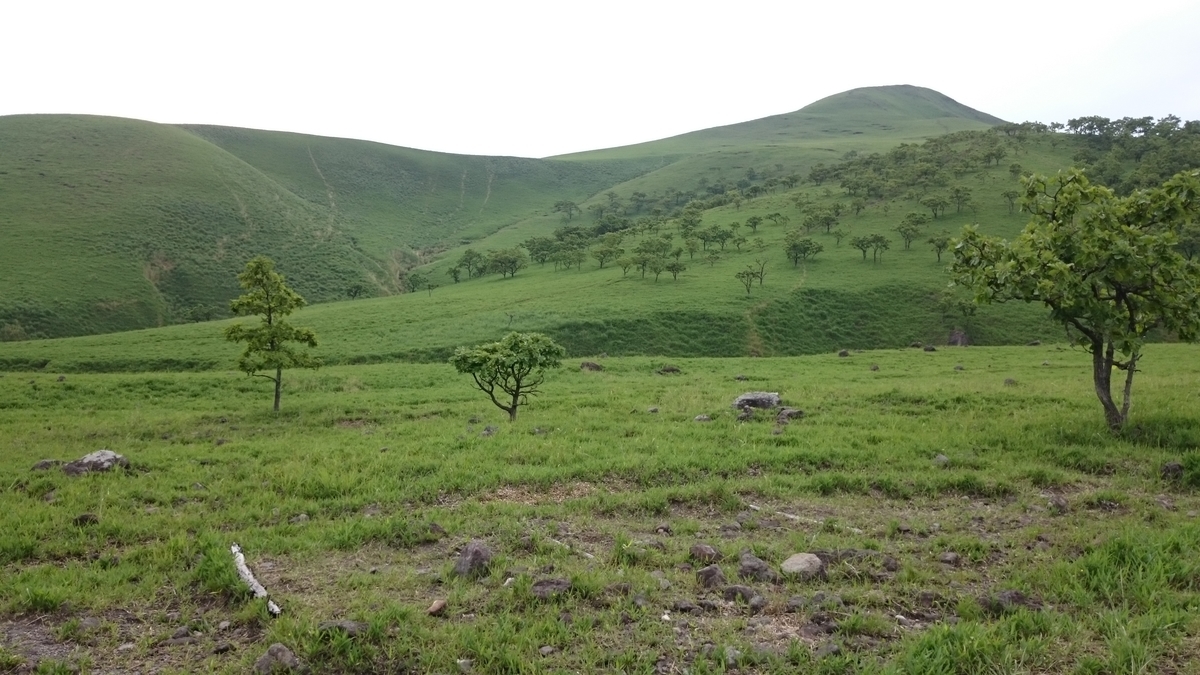 f:id:suizougan:20190602180939j:plain f:id:suizougan:20190602180939j:plain