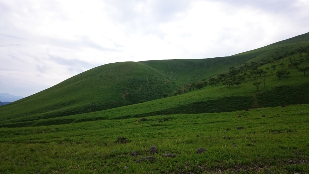 f:id:suizougan:20190602180959j:plain f:id:suizougan:20190602180959j:plain