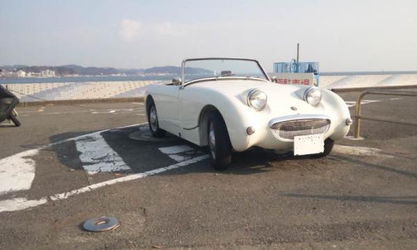 イメージ 1